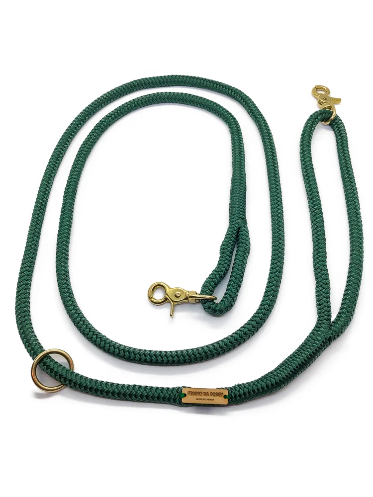 hunter dog leashes