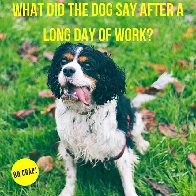 Today was RUFFF 🐶 
I bet your backyard is RUFF because you haven&rsquo;t called Oh Crap to deal the 💩 for you yet! Call or text us today! (702)785-4539

#ohcrapsgotjokes