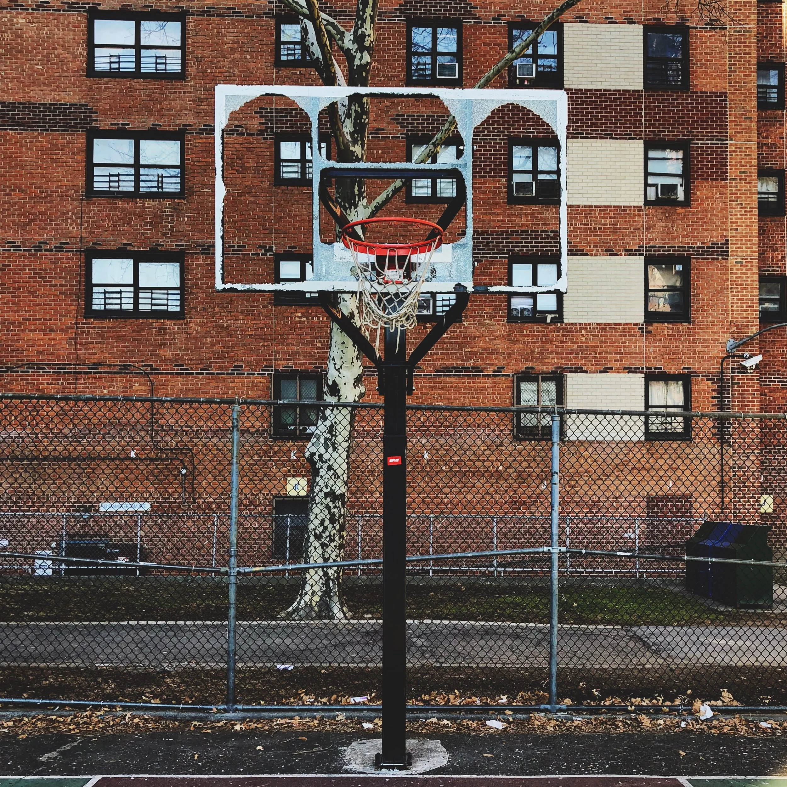 Harlem, 2018.