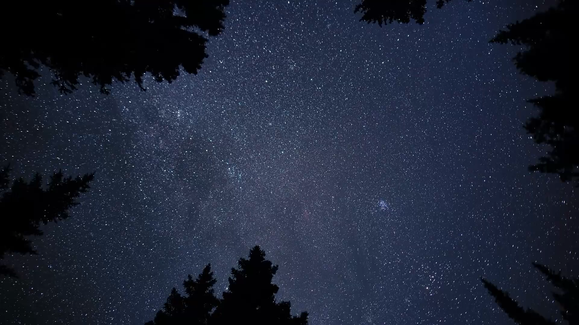 Image 2026-04-01 at 10.28.46 AM.png