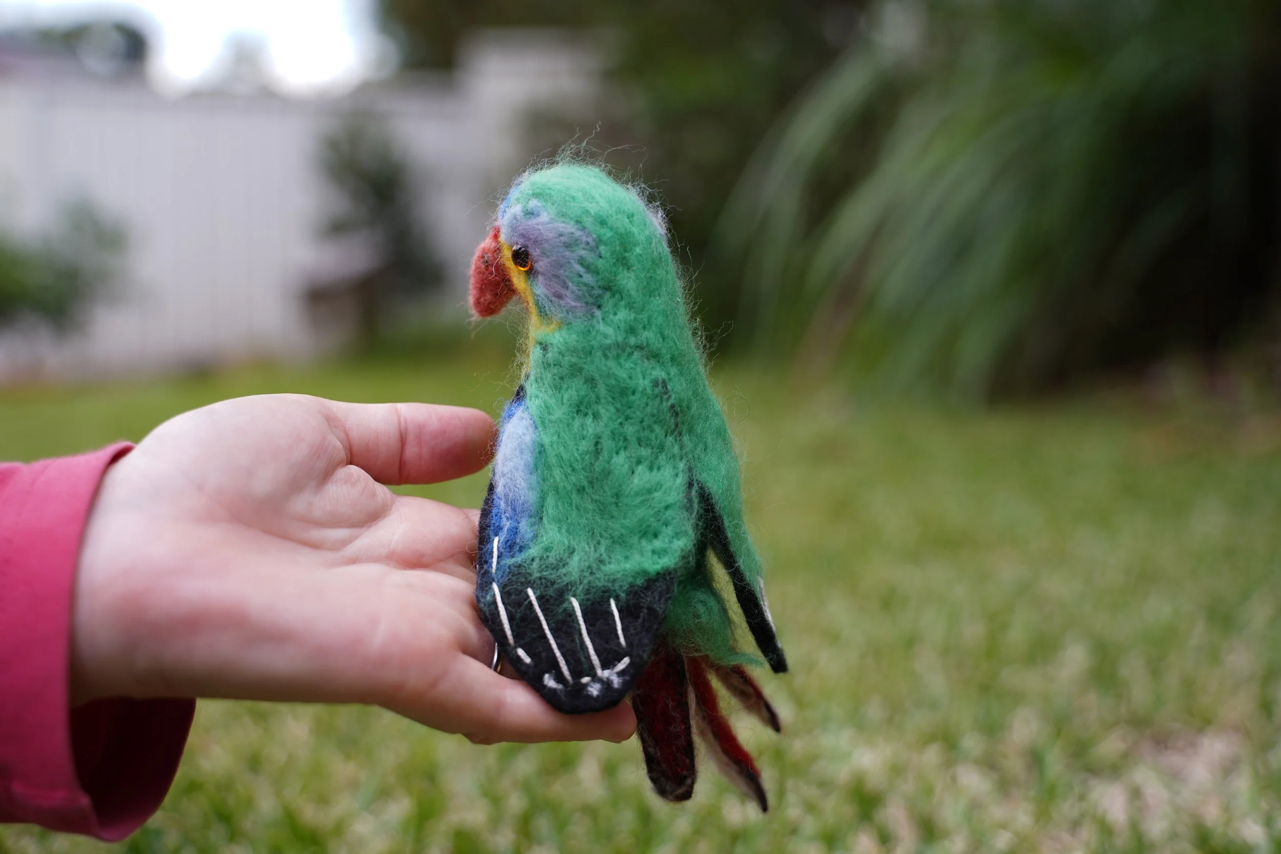 Swift Parrot