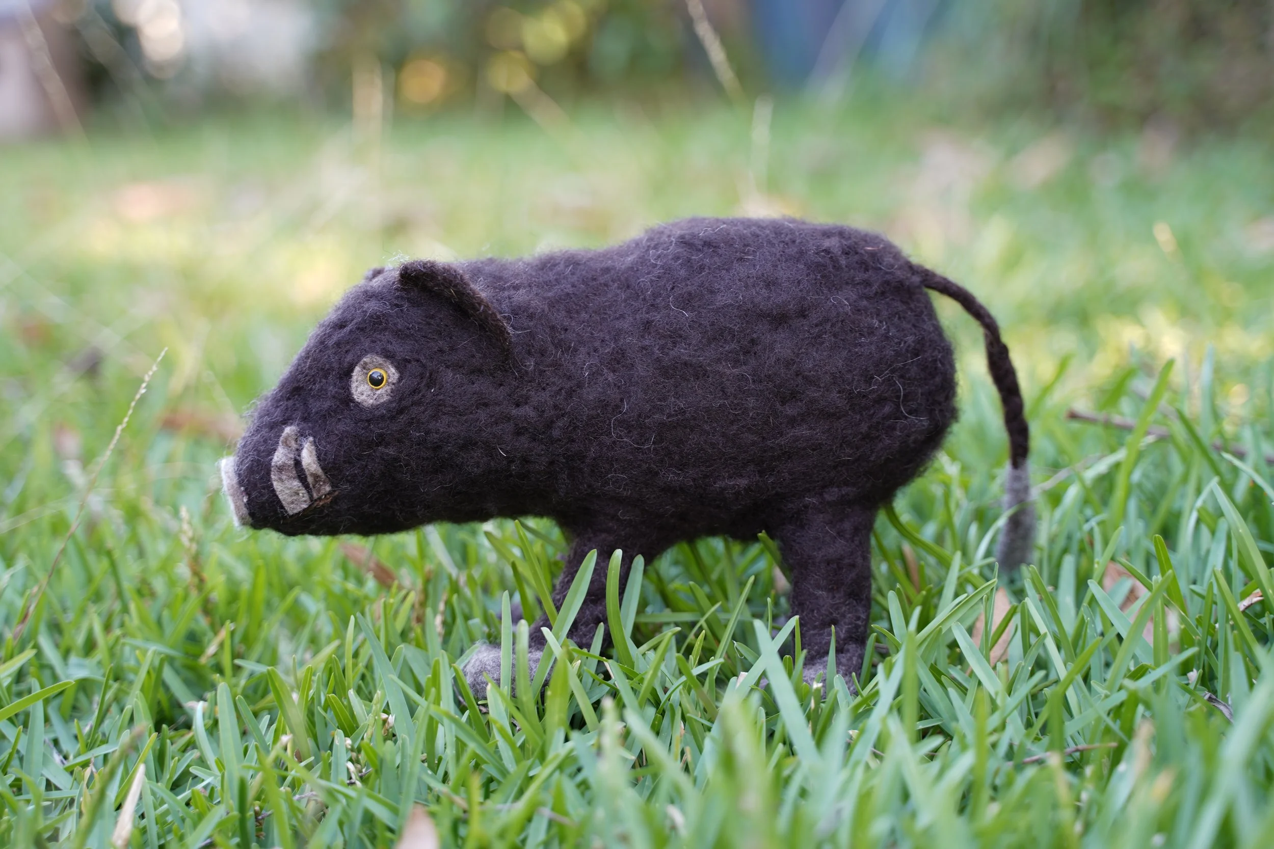 Pig