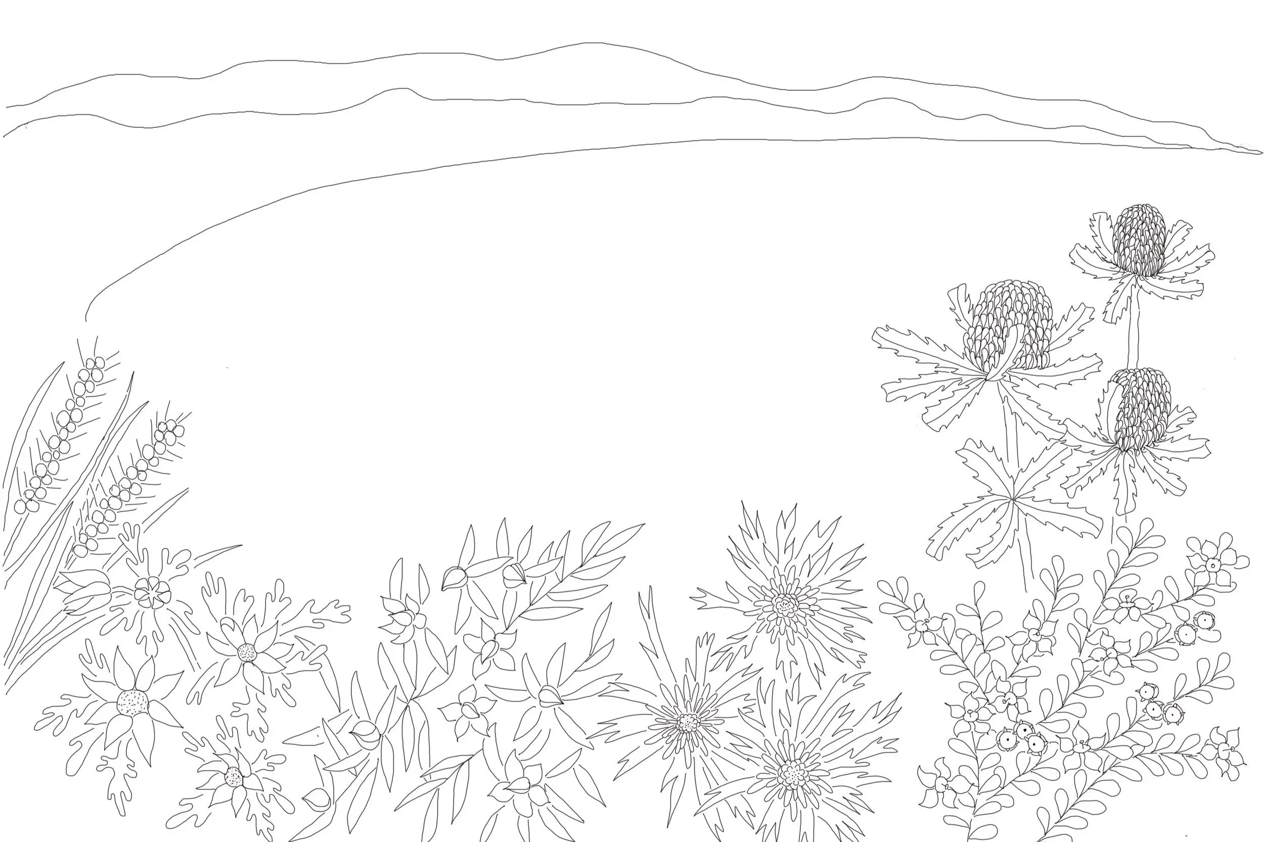 Awabakal_Lookout_b%26w_drawing.jpg