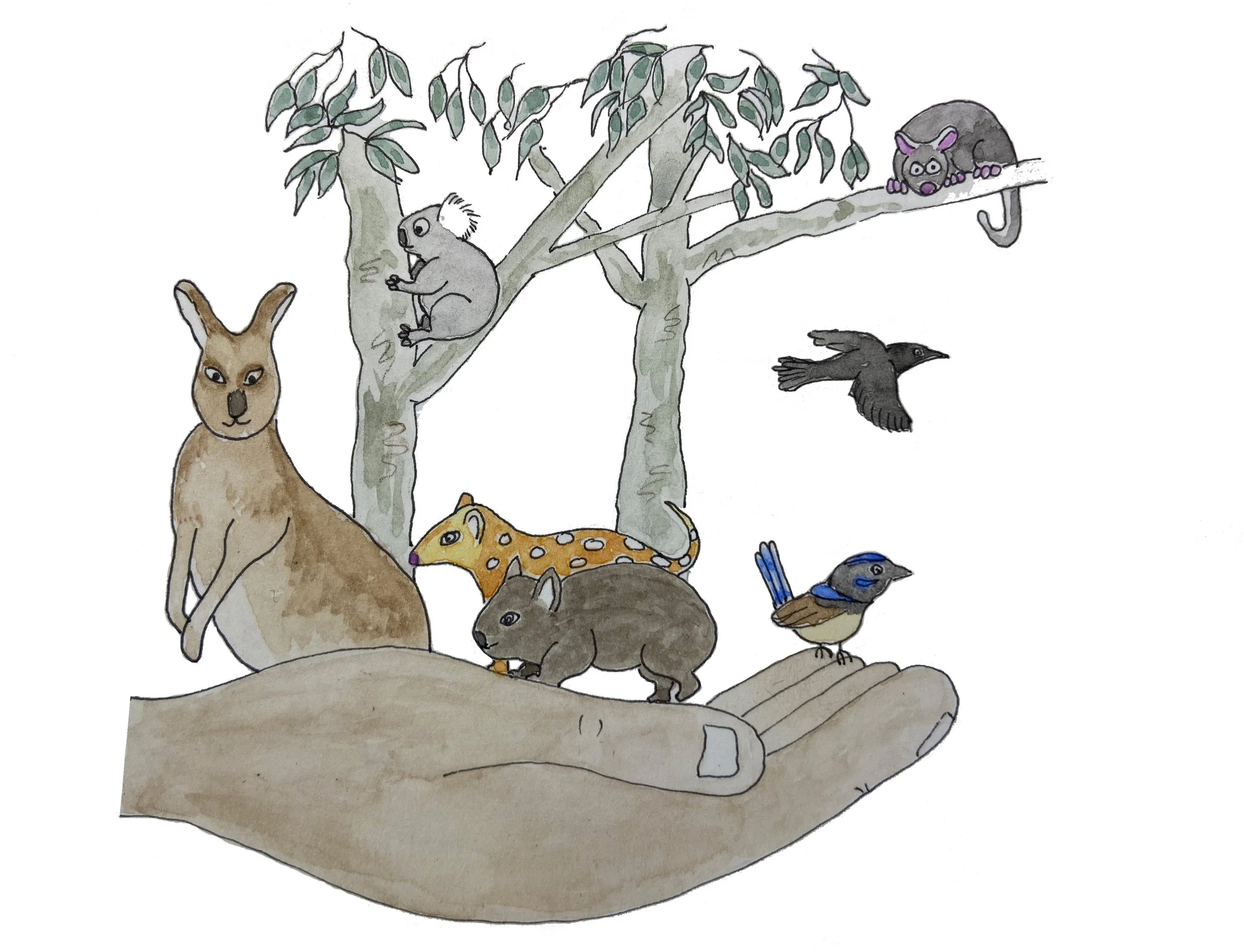 Be Wildlife Wise_painting.jpg