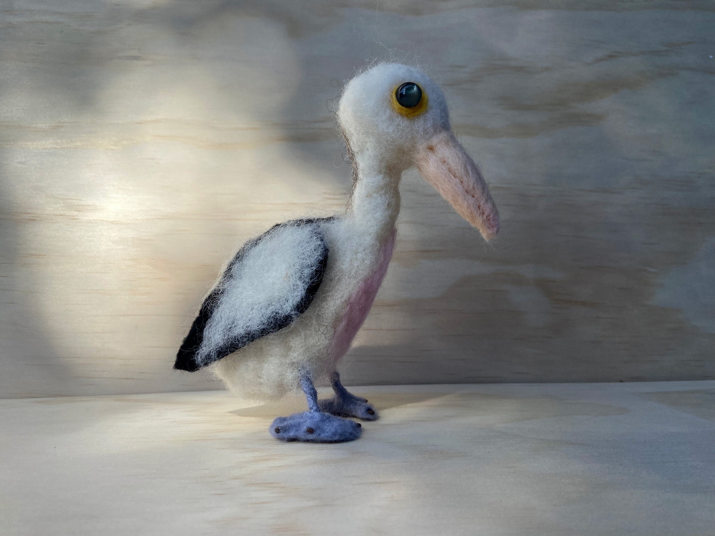 Pelican