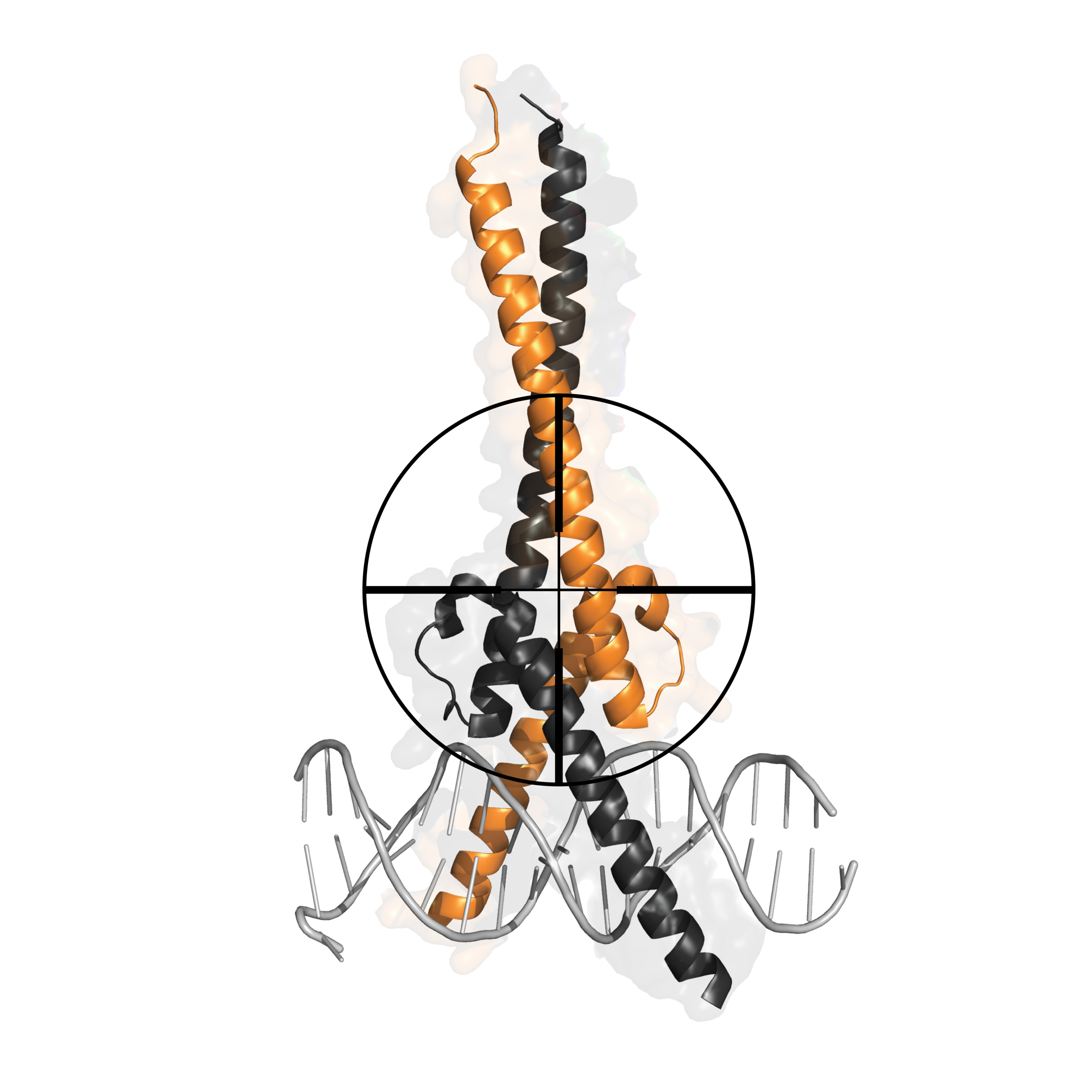 Lab Members  Computational Functional Genomics Laboratory