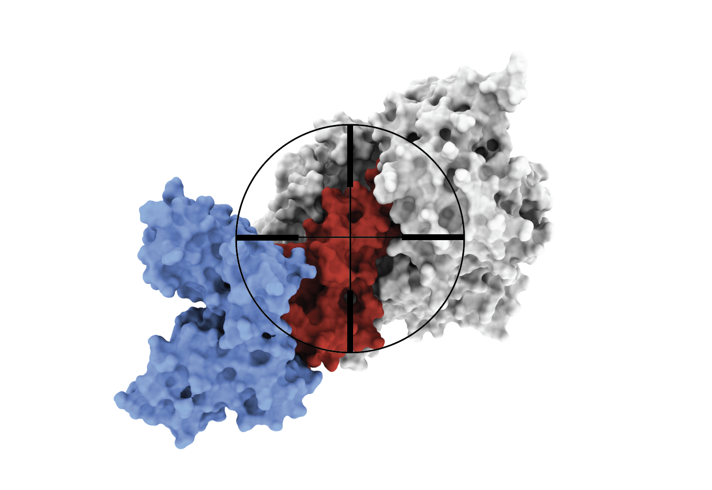 Screenshot 2026-01-21 at 13.37.35.png