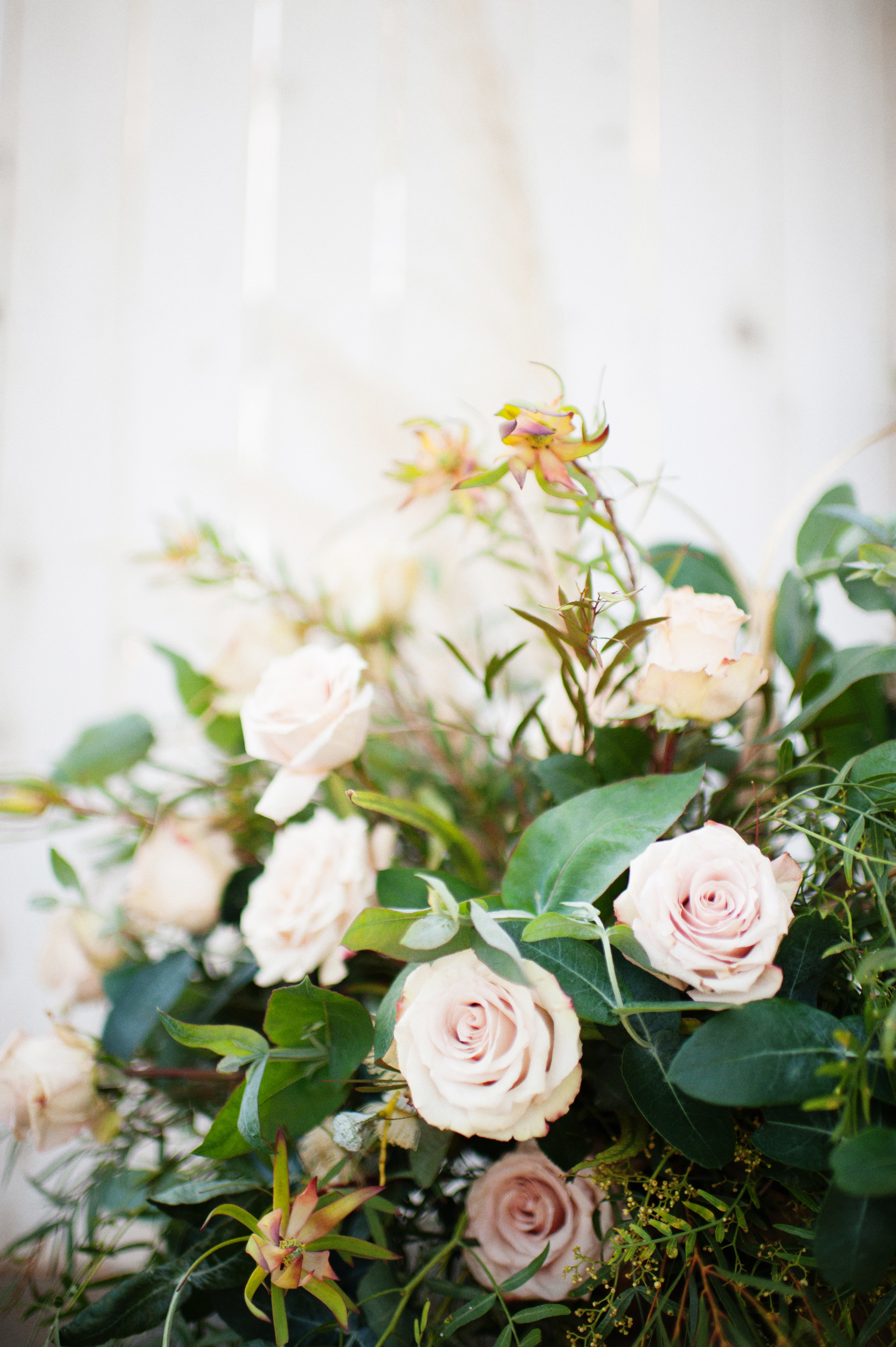 floralee, 003.jpg