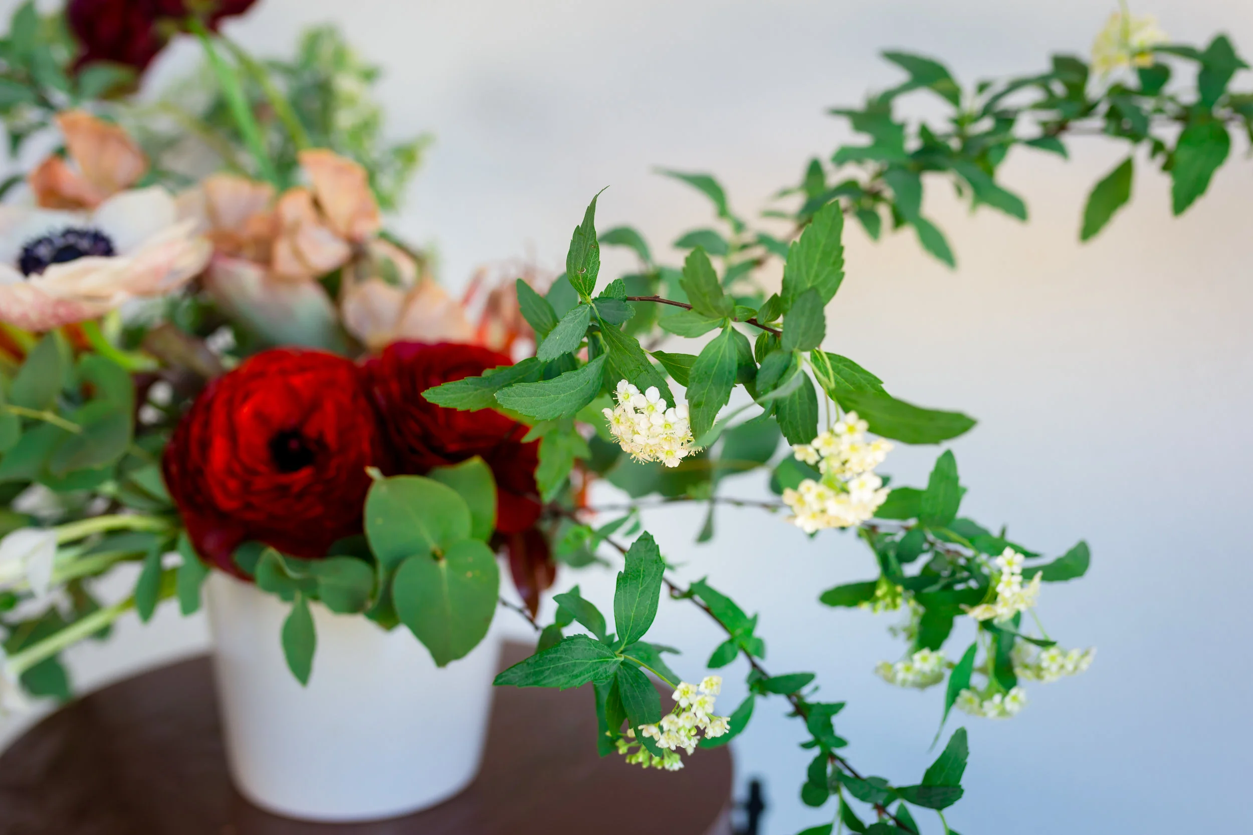 FloraLee-7-lorephotography.jpg