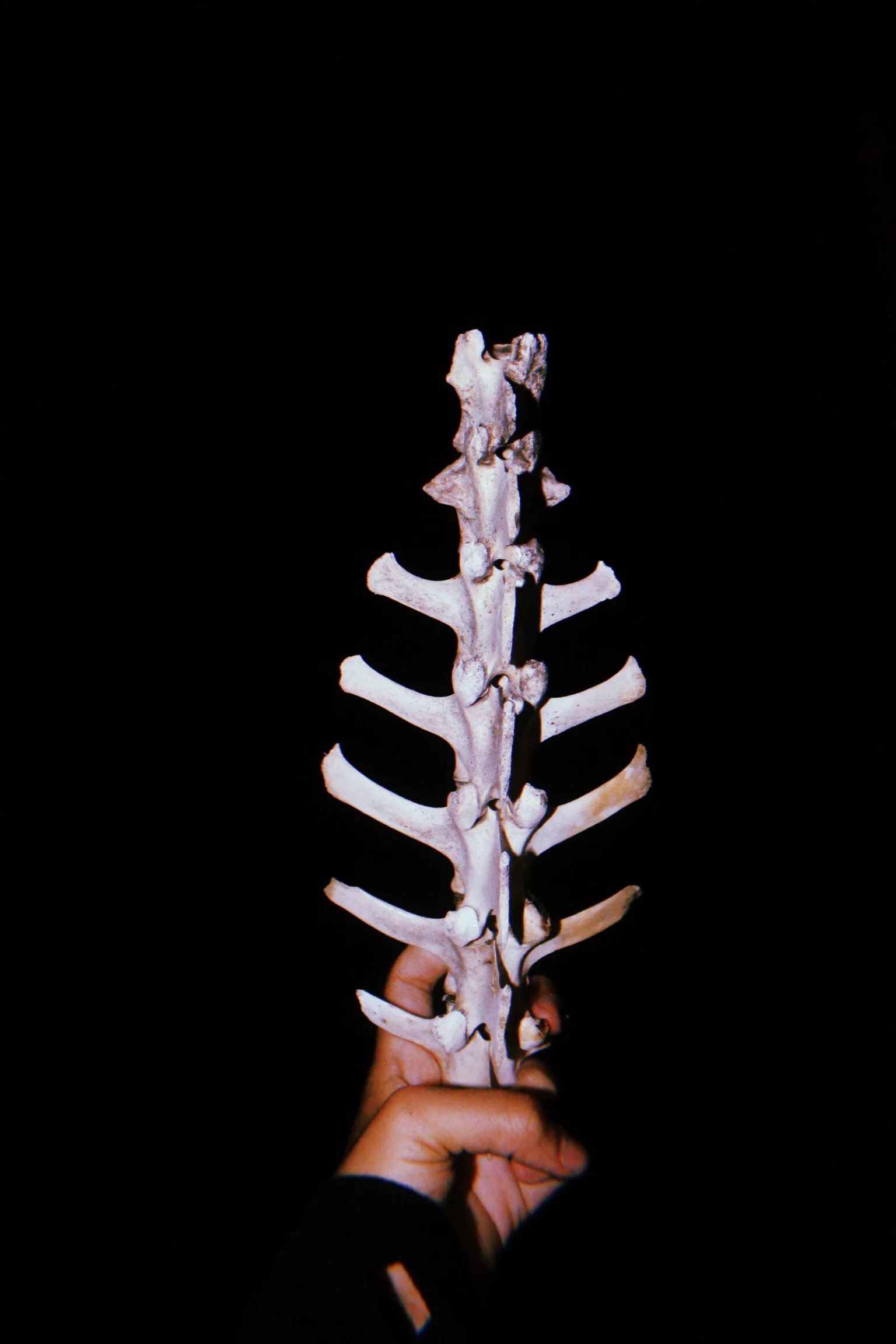 2018-07-23 15:18:51.123.JPG