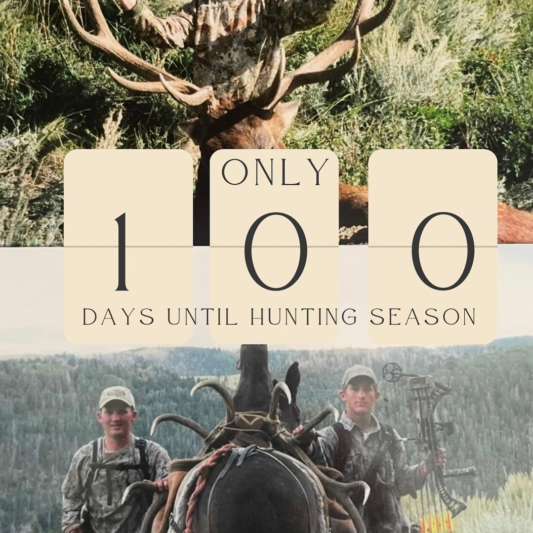 100 days until elk hunting kicks off&hellip;  you draw a special tag? You just want to be mountain healthy? You just want to hunt until you are 100. Don&rsquo;t delay subscribe to the Mtn Physio Academy today!

It&rsquo;s a 14 week program, education