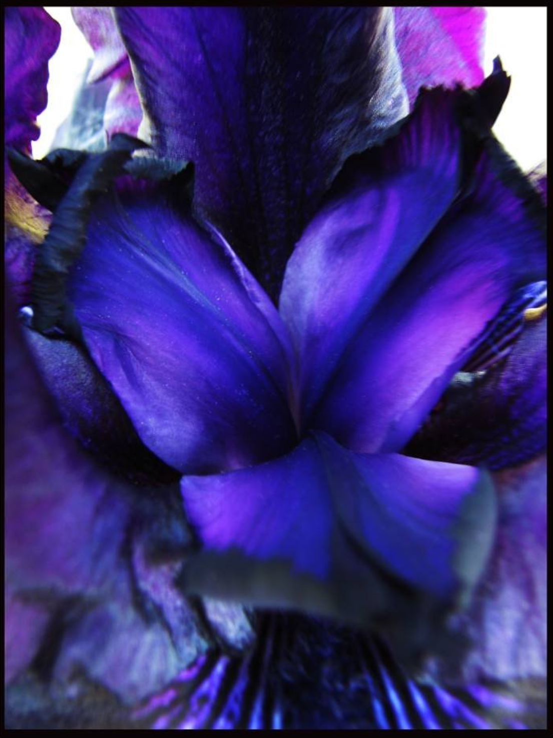 Screen Shot 2019-03-06 at 7.08.25 PM.png