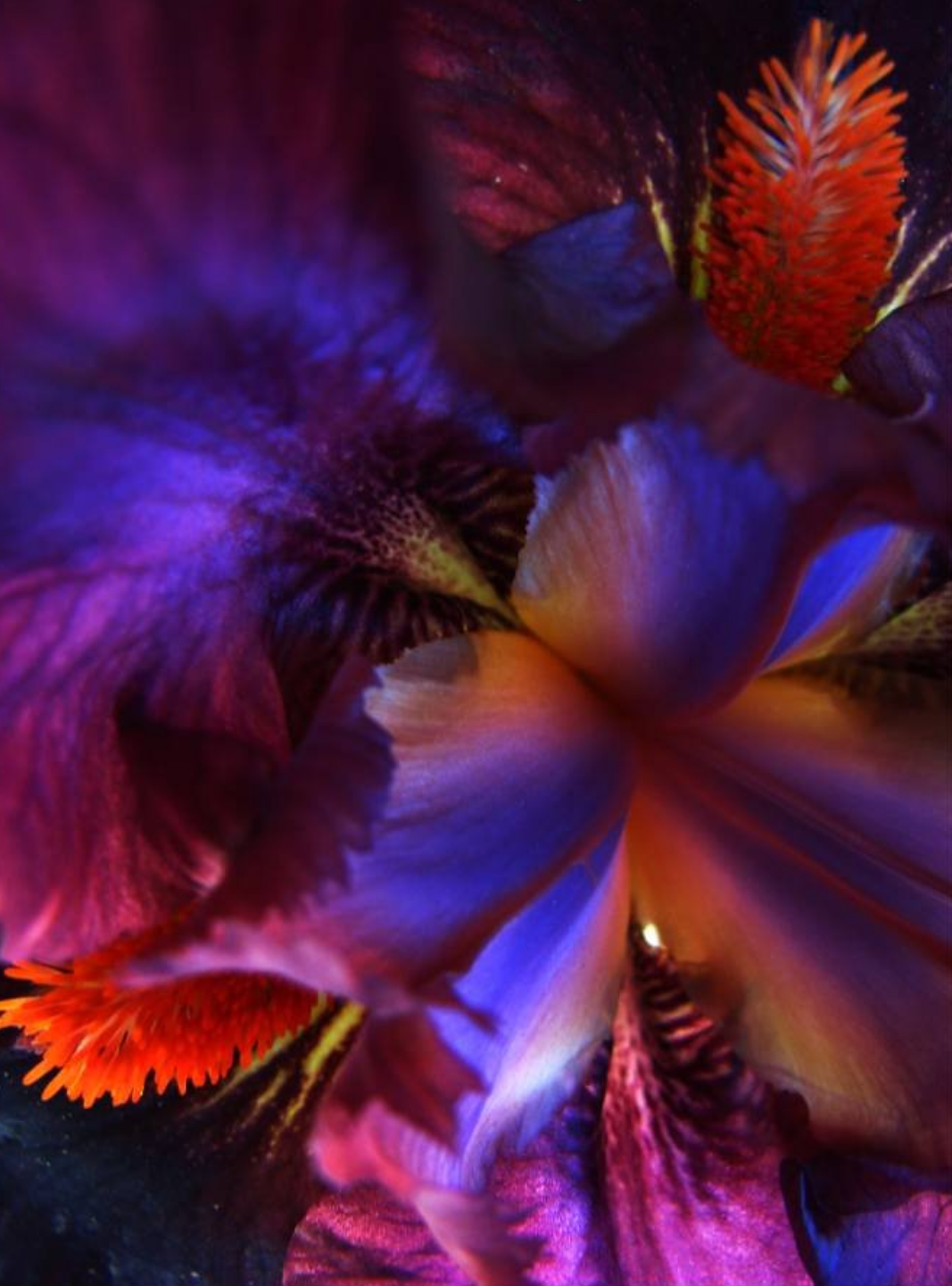 Screen Shot 2019-03-06 at 7.16.07 PM.png