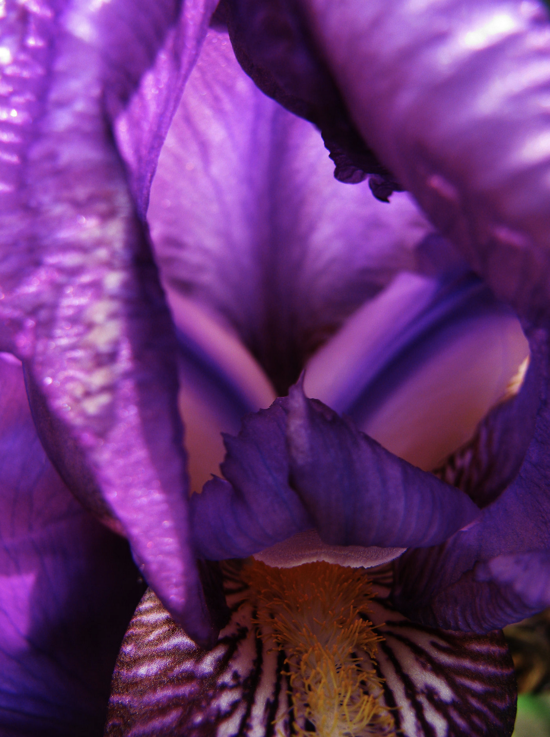Screen Shot 2019-03-06 at 7.16.26 PM.png