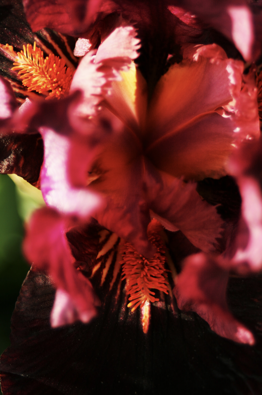 Screen Shot 2019-03-06 at 7.16.14 PM.png