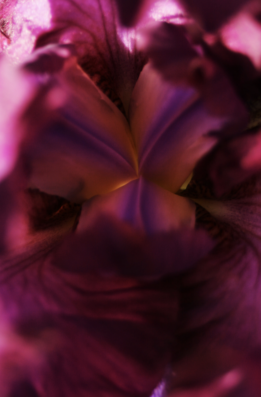 Screen Shot 2019-03-06 at 7.32.28 PM.png