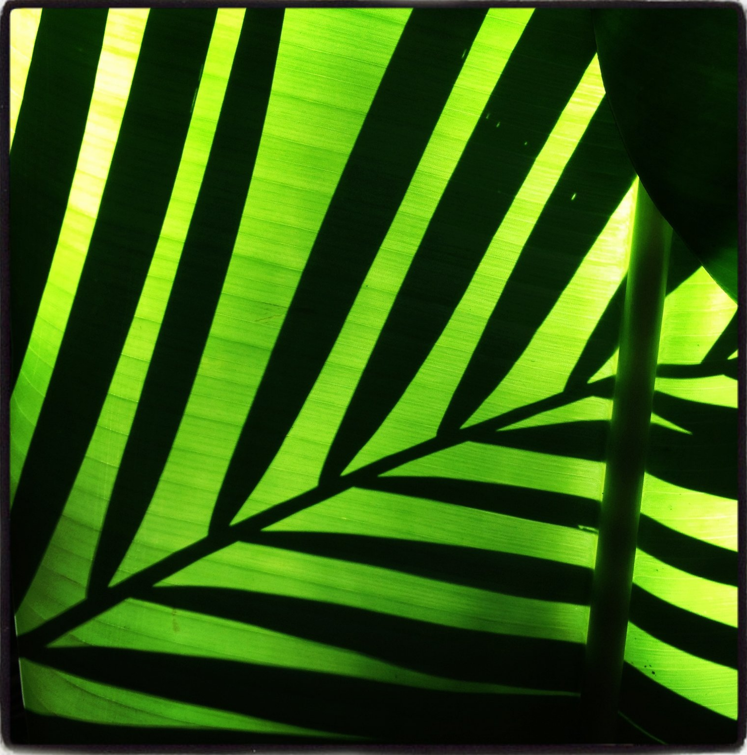 Screen Shot 2019-03-06 at 8.32.13 PM.png