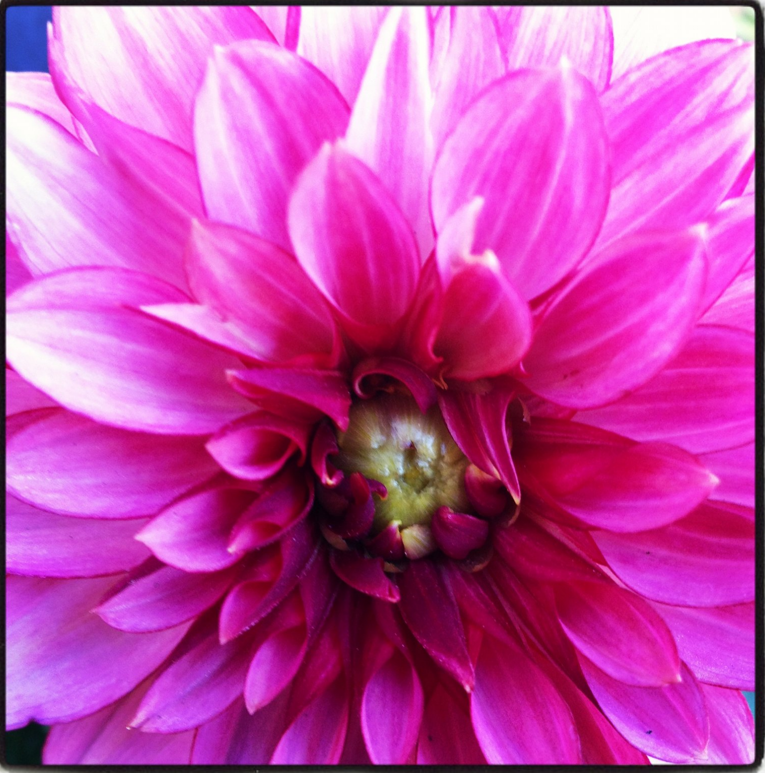 Screen Shot 2019-03-06 at 8.33.07 PM.png