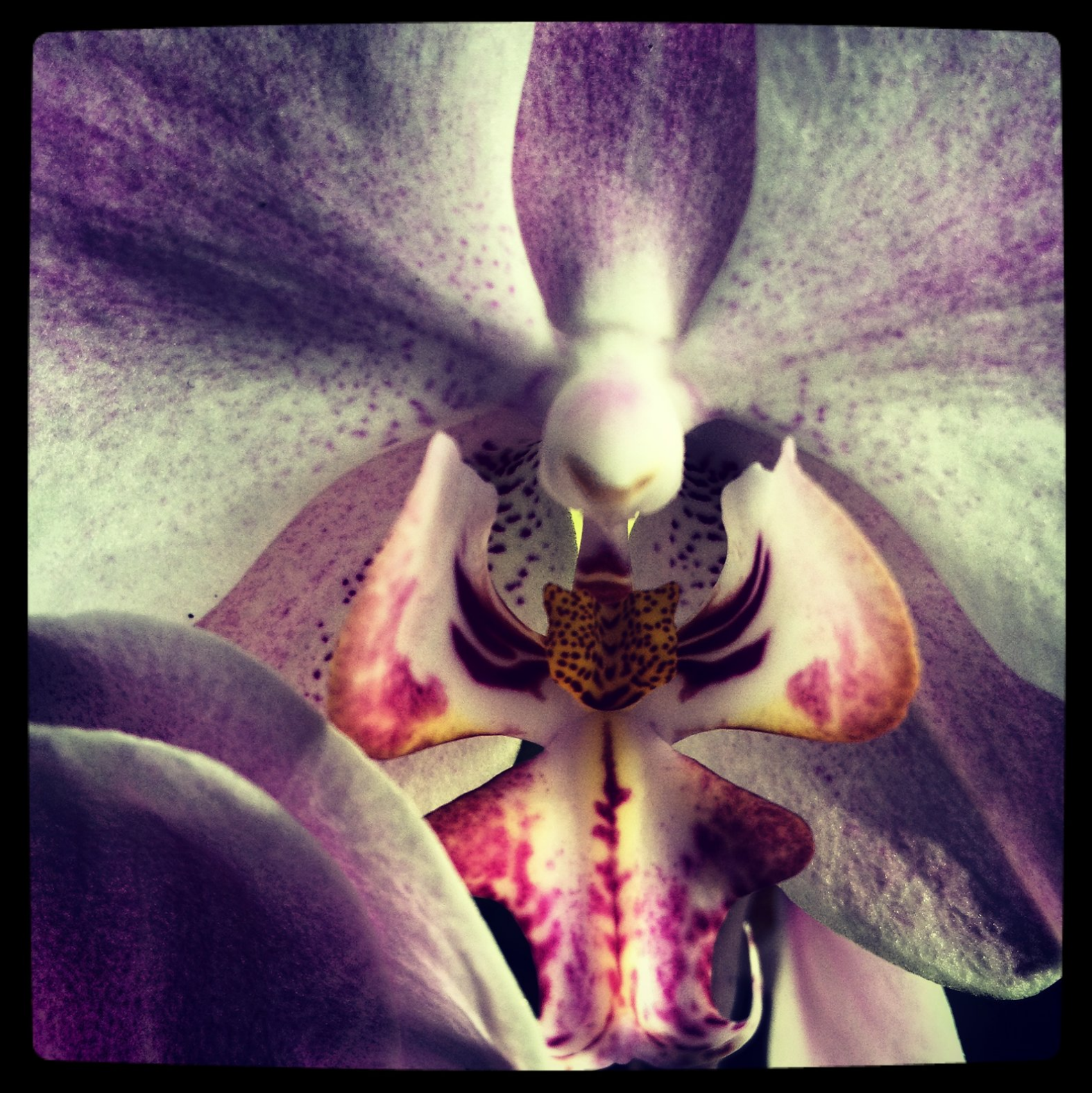 Screen Shot 2019-03-06 at 8.29.05 PM.png