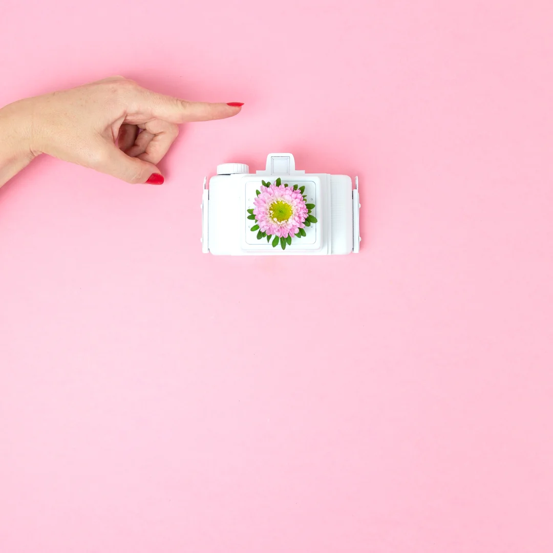 Flowering-Camera-Stop-Motion-Animation.jpg