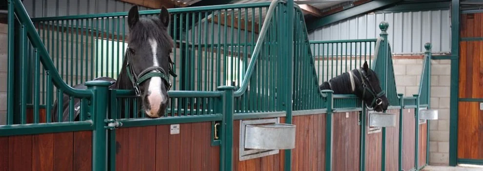 Reflections on 24-25 teaching: Office Hours