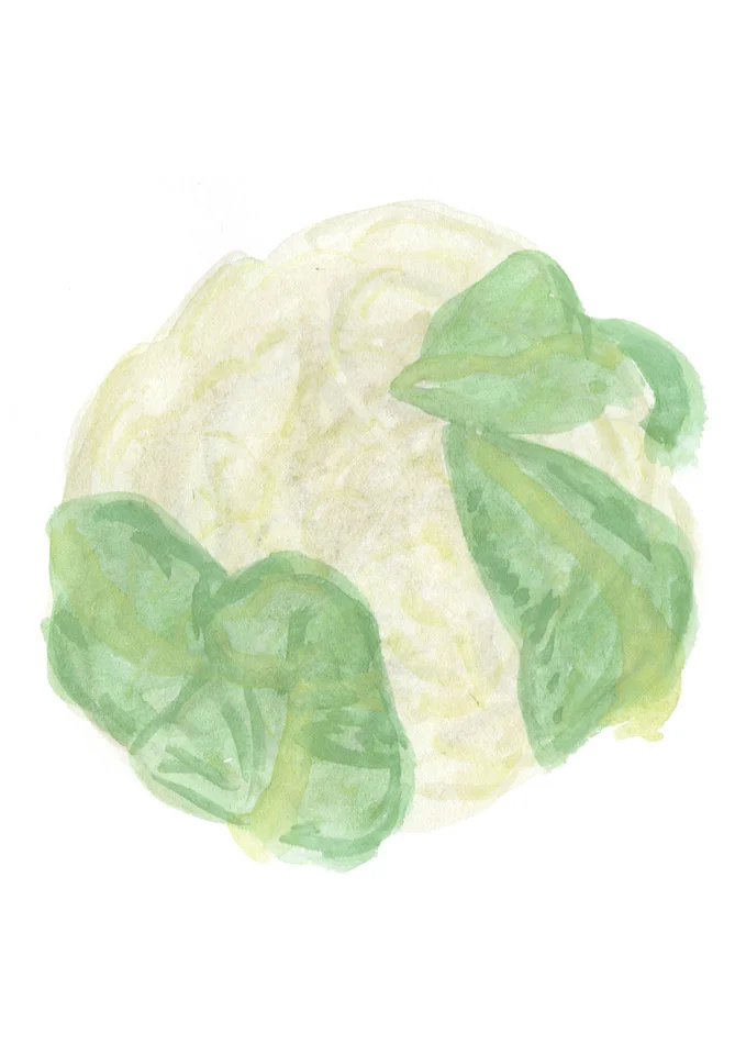 illustration-blumenkohl-deborahlaetsch.jpg