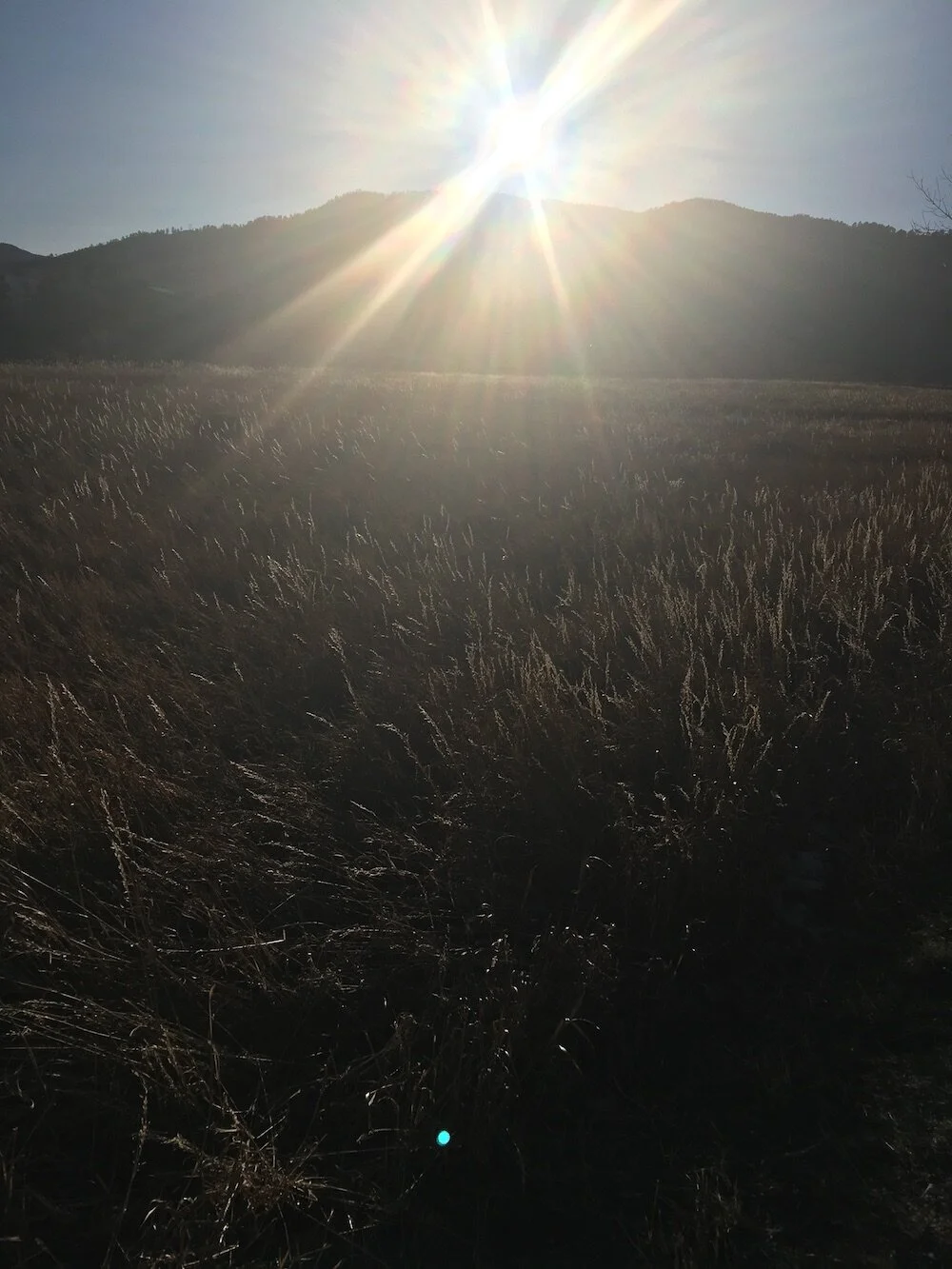 Sun_resized1000.jpeg