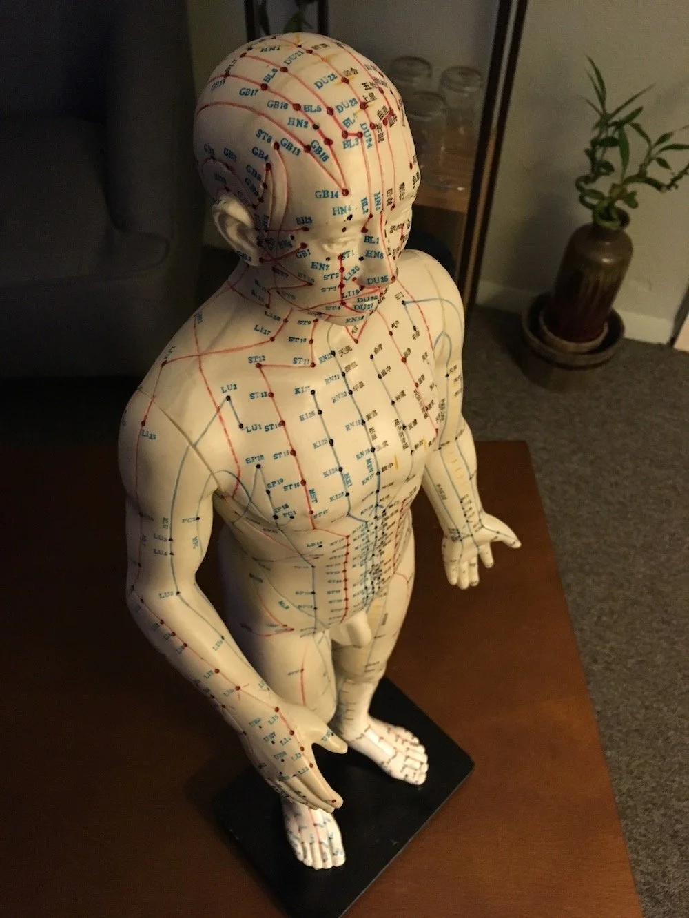 Meridians