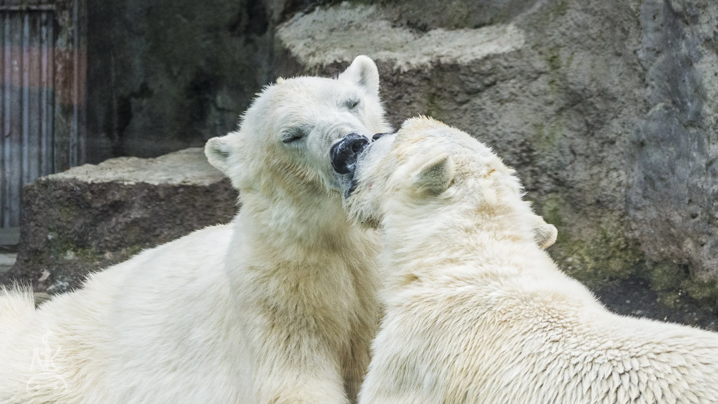Budapest Zoo