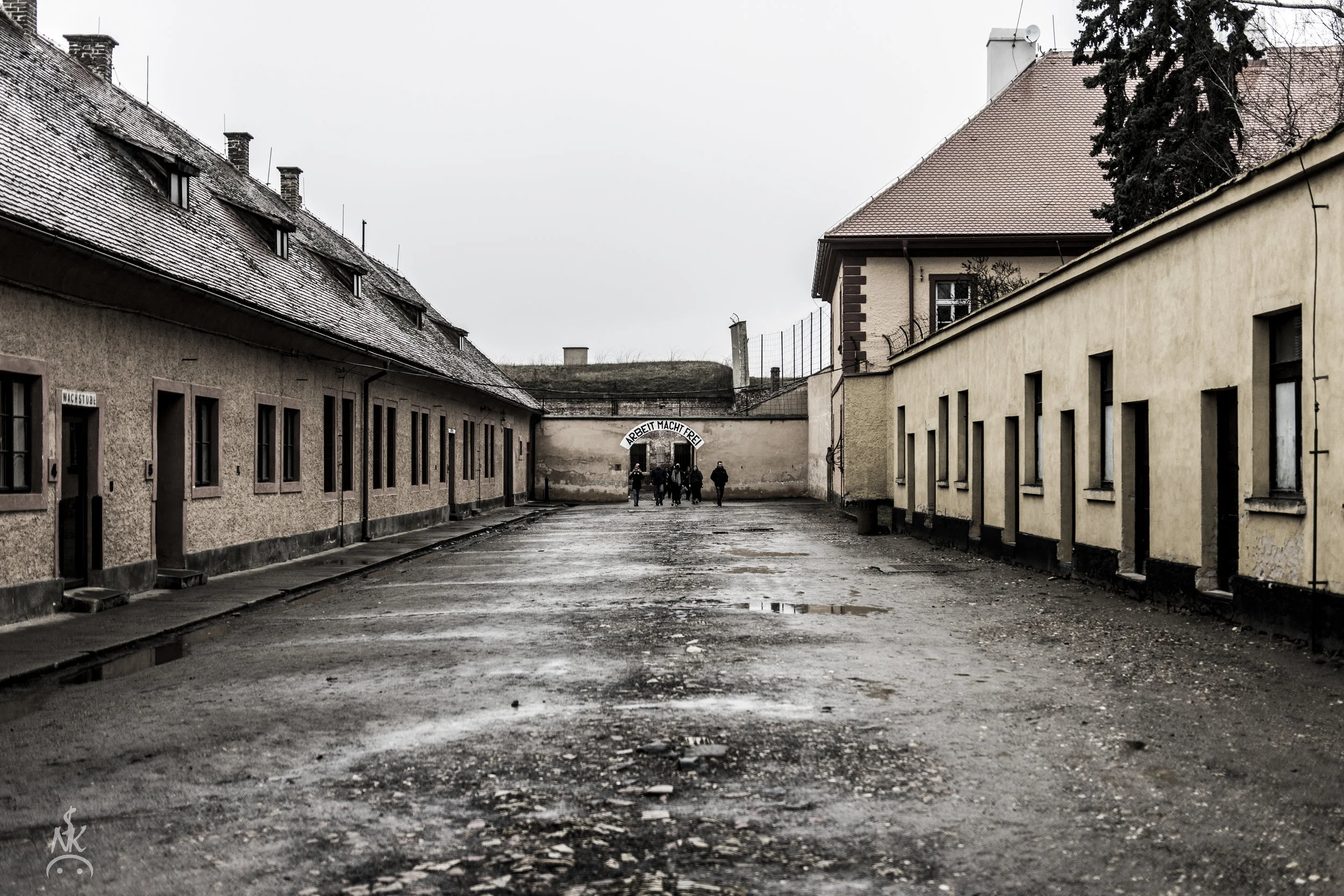 DSC_8666.jpg