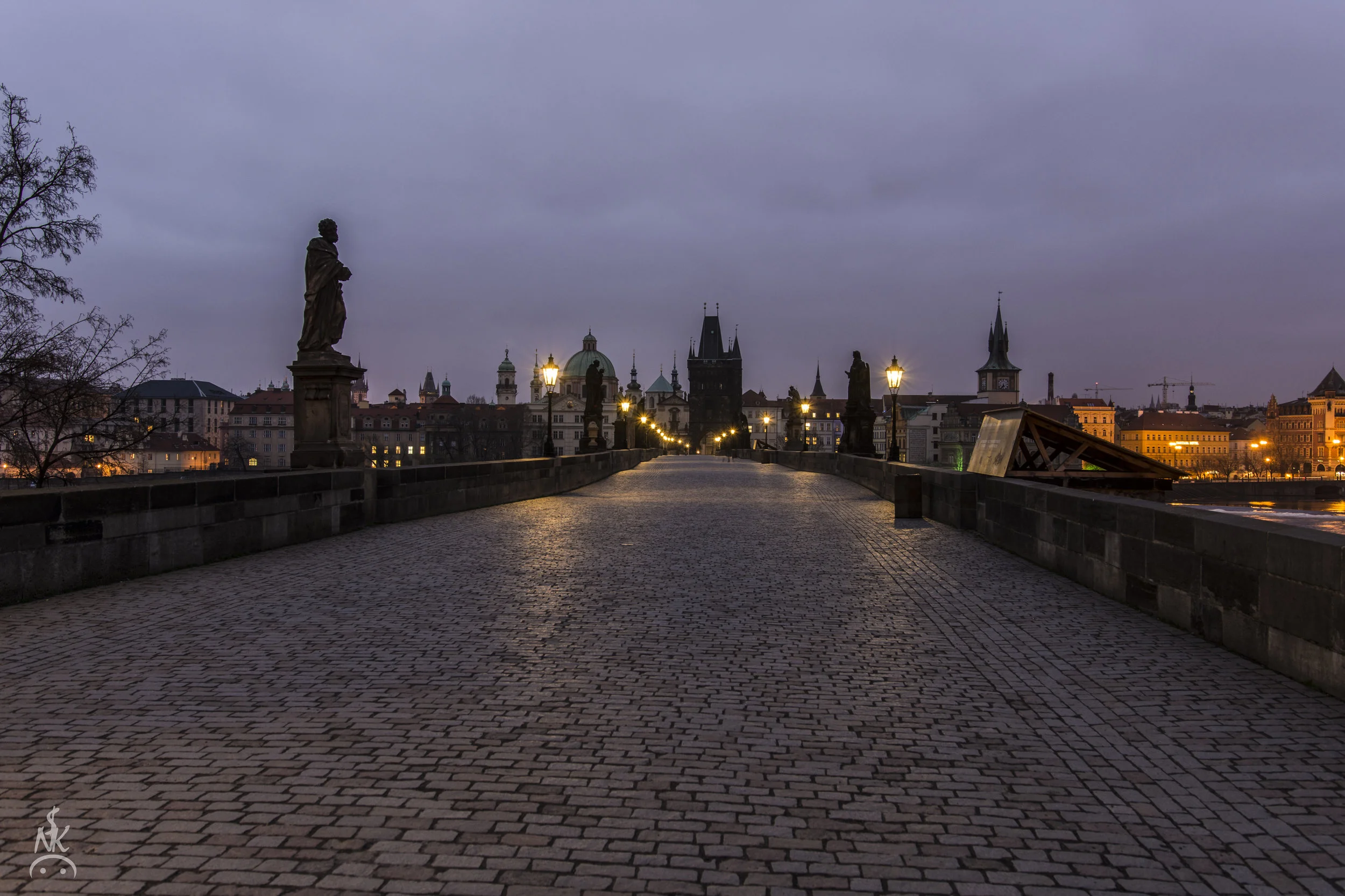DSC_9543.jpg