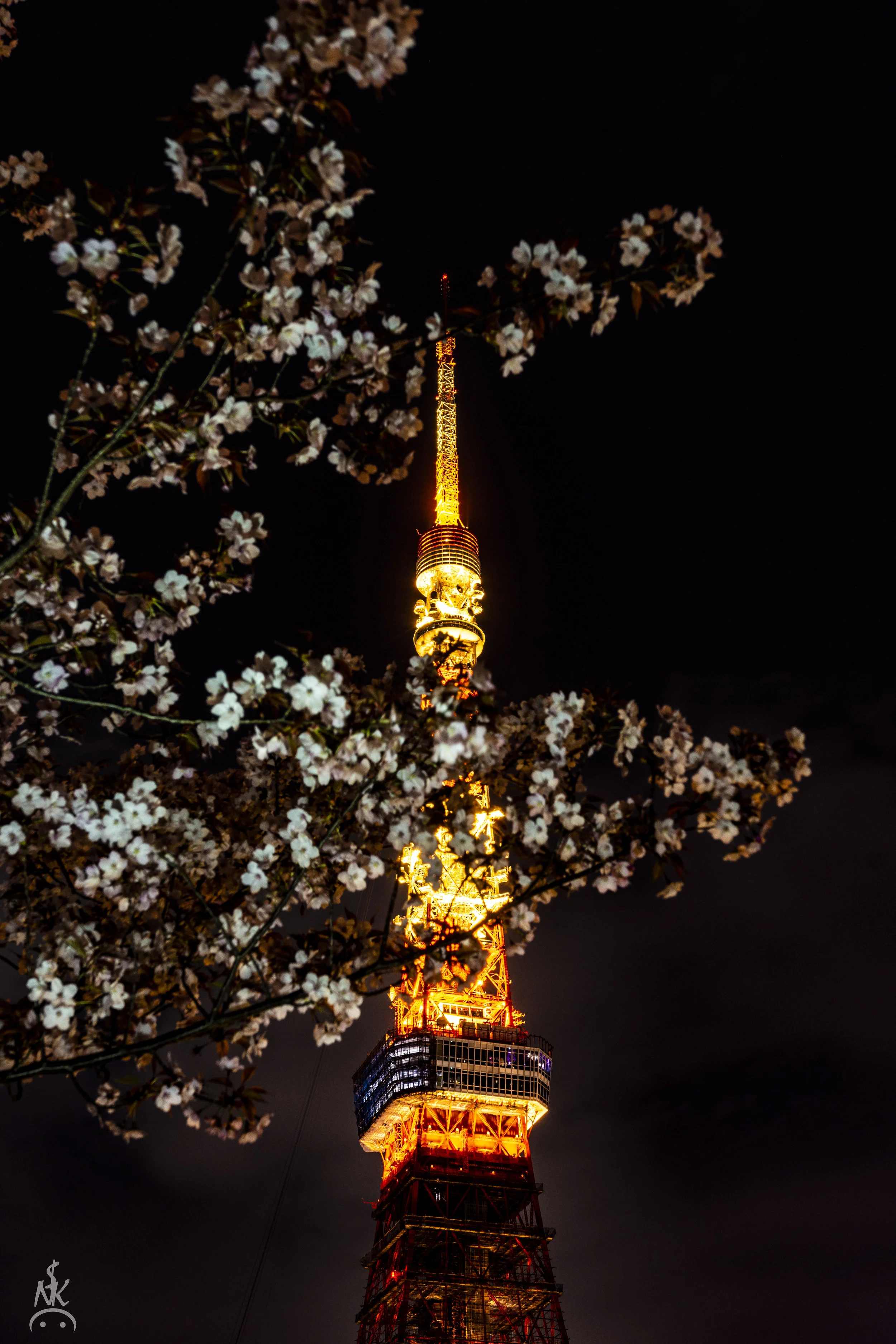 Tokyo tower