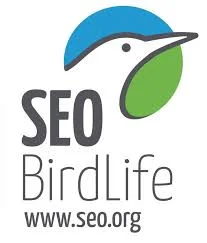 seo logo.jpg