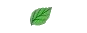 1L.jpg