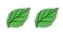 2L_trans.png