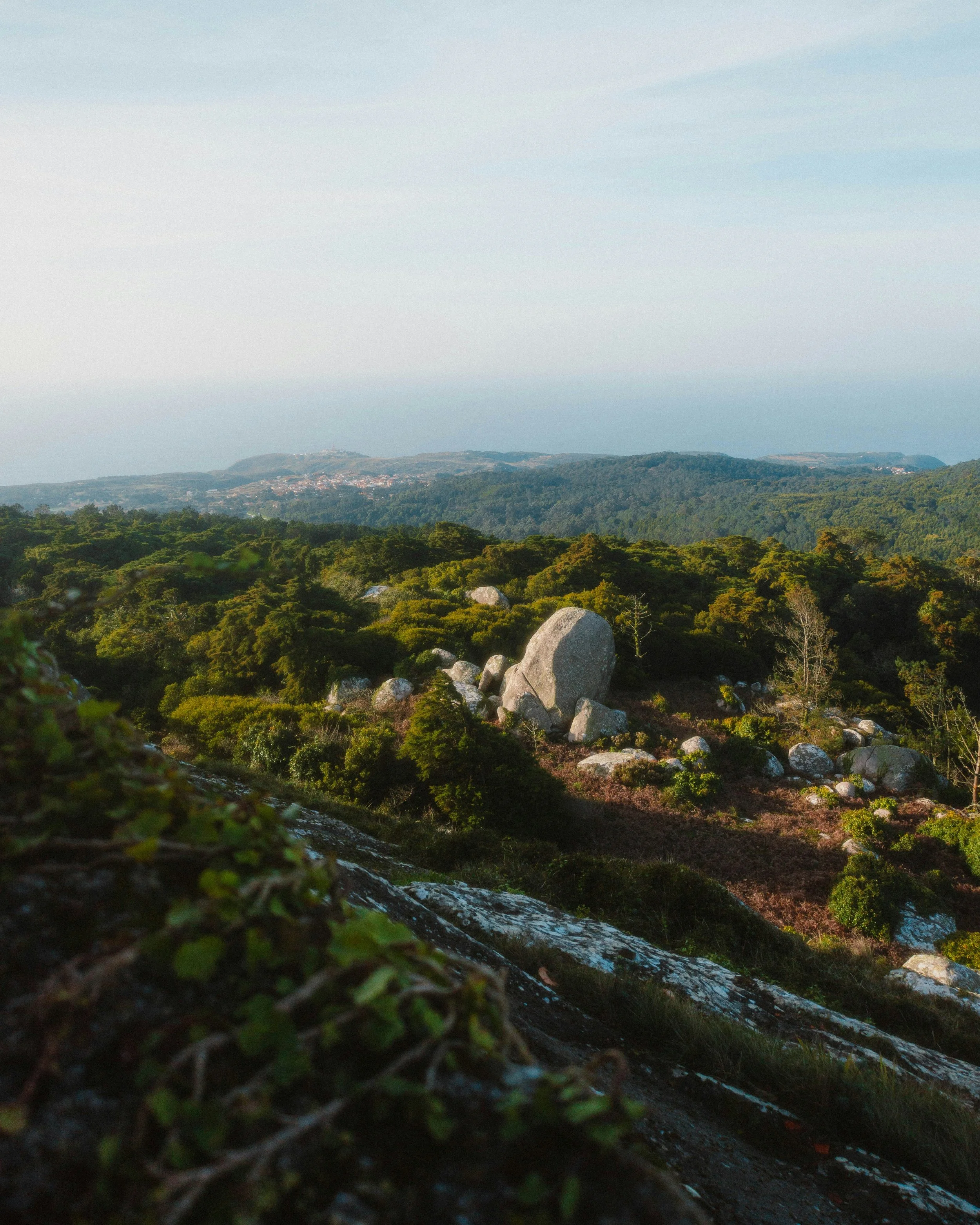 Green Travel trends 2025: How Sustainability Is Transforming Tourism