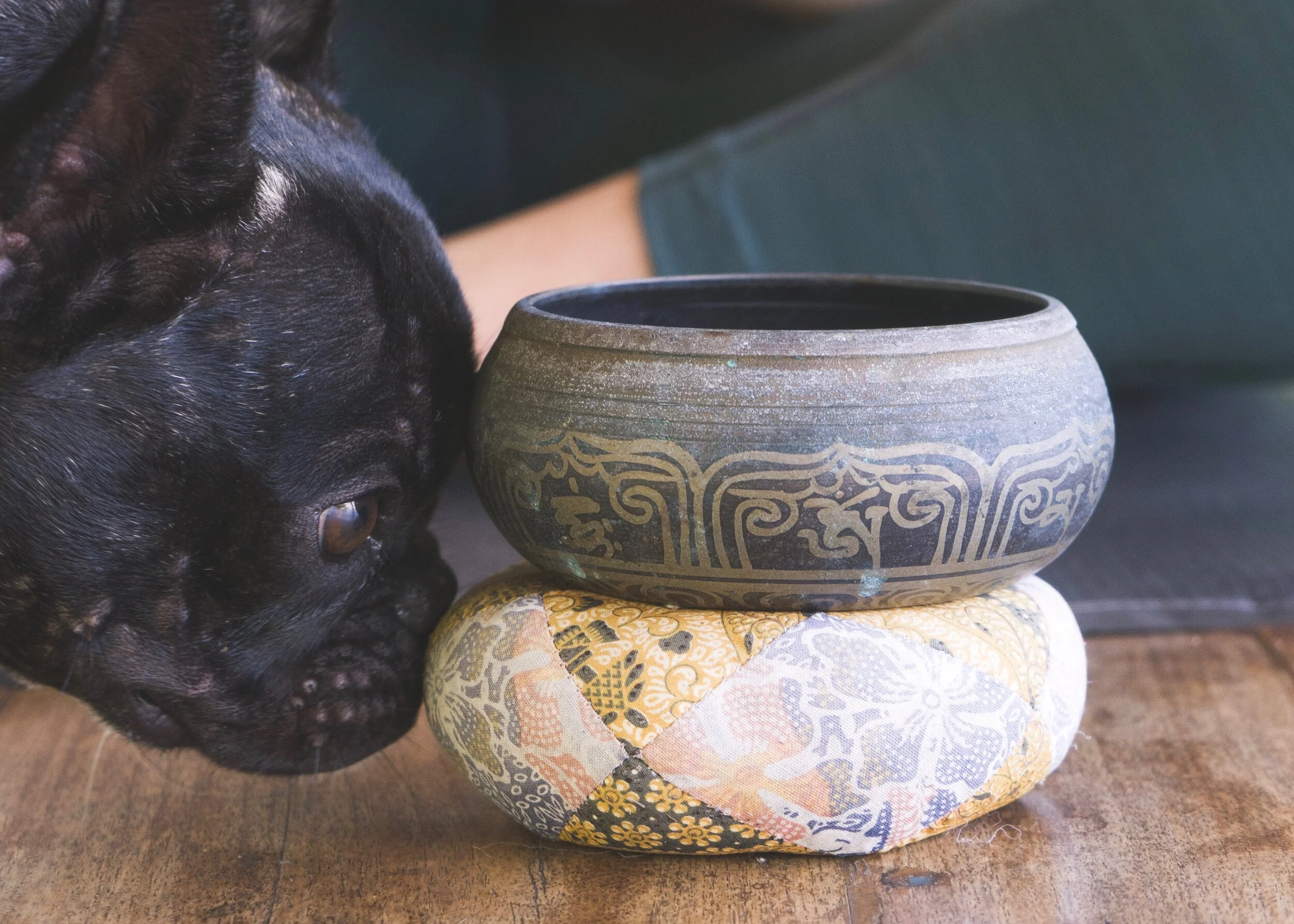 morninglight yoga_sas.JPEG