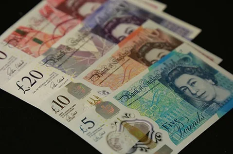 Peter's Contribution in the Quantitative Easing Debate