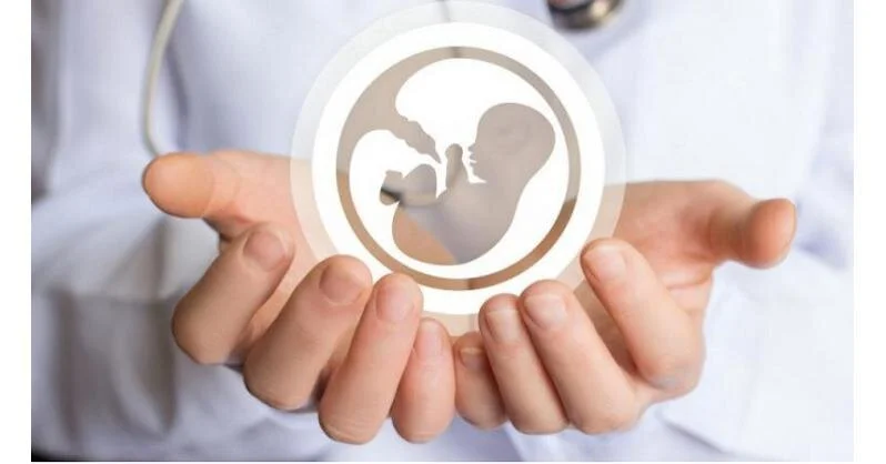Vitro Fertilisation Services