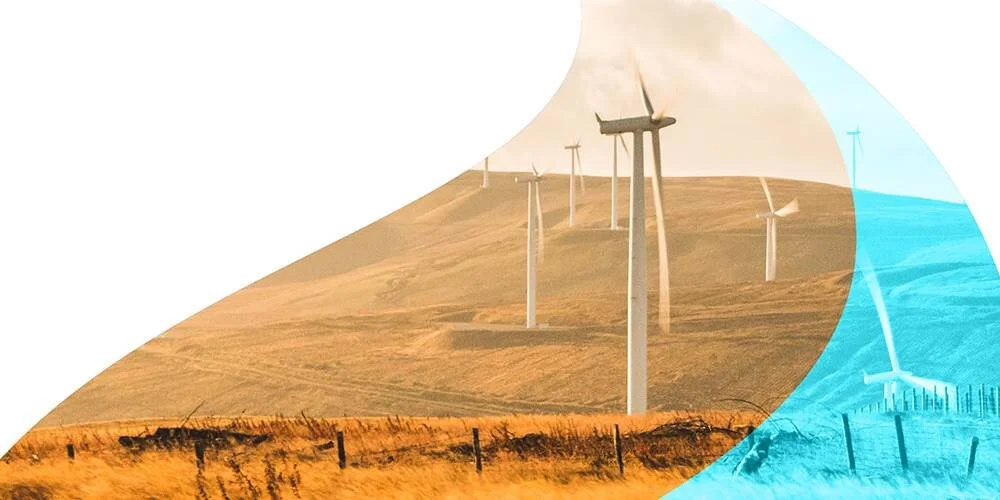 Green Print Recovery