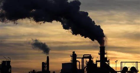 Subsidies for Electricity generated from Biomass