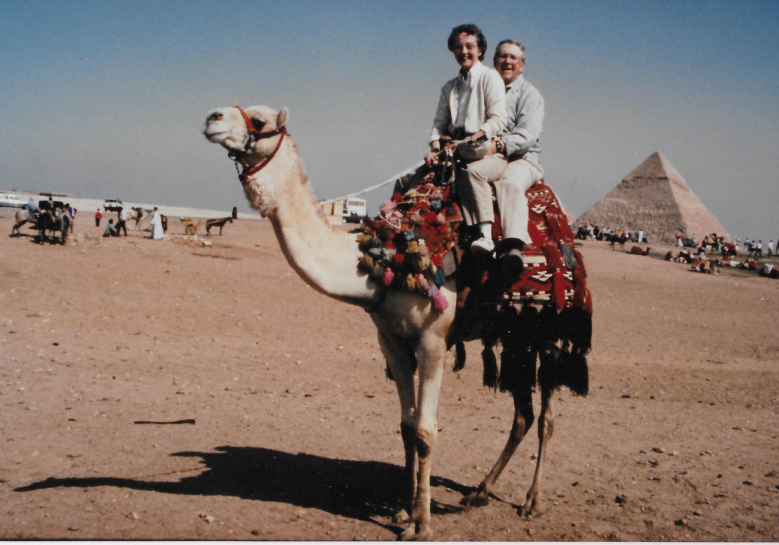 Camel.jpg