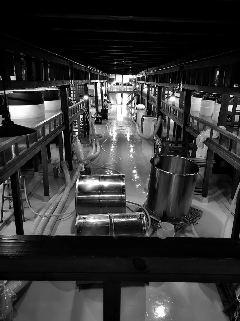 Matsumoto B&W.jpg