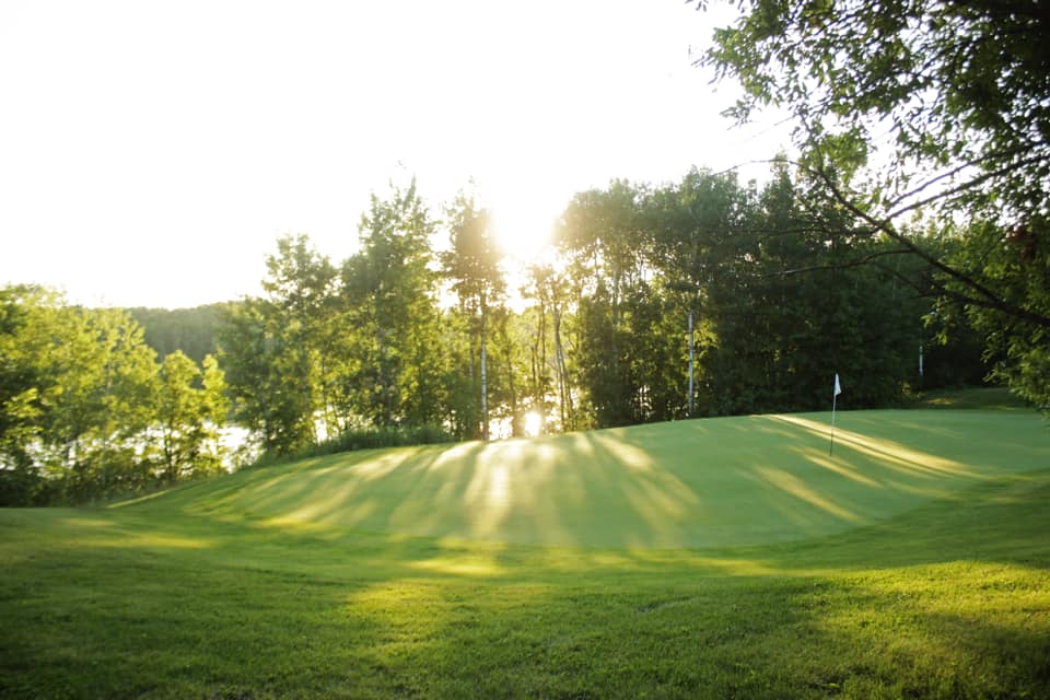 sun through trees.jpg
