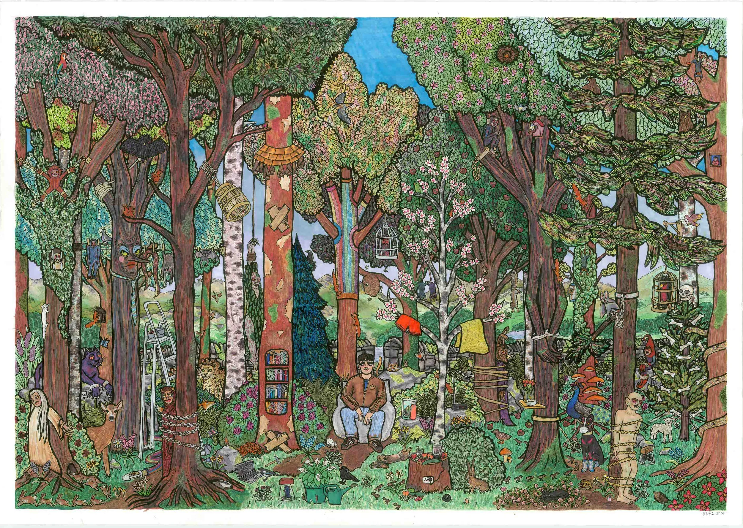 currently untitled woods 2024 .jpg