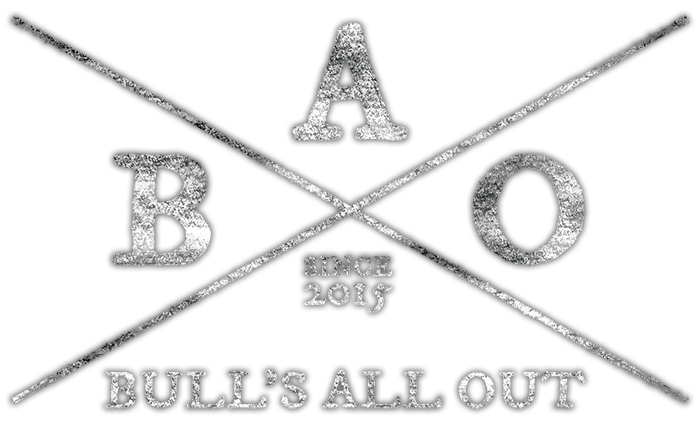 BAO_logo-textured_web.png