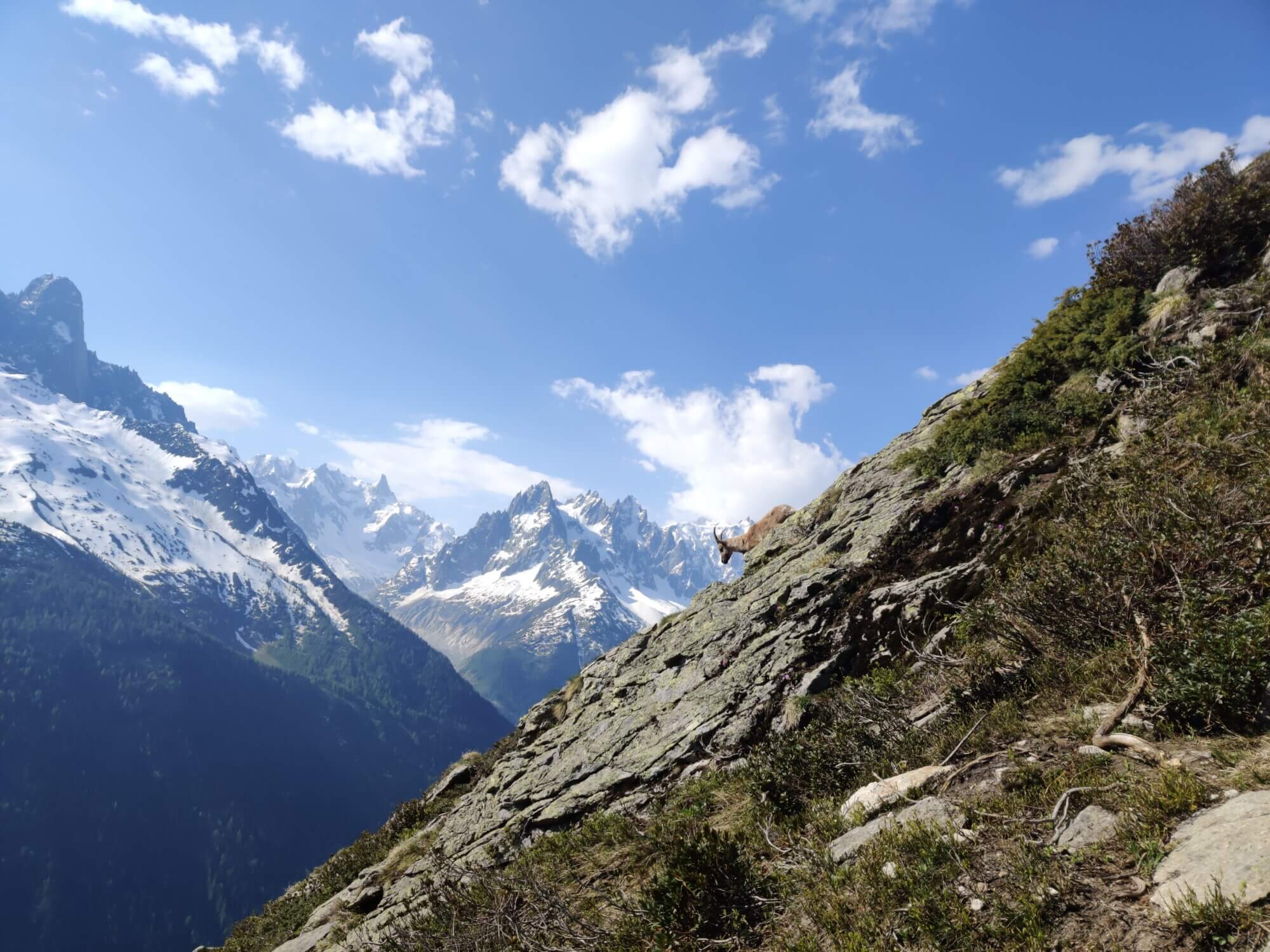 Hikers beneath the mountains on the Tour du Mont Blanc