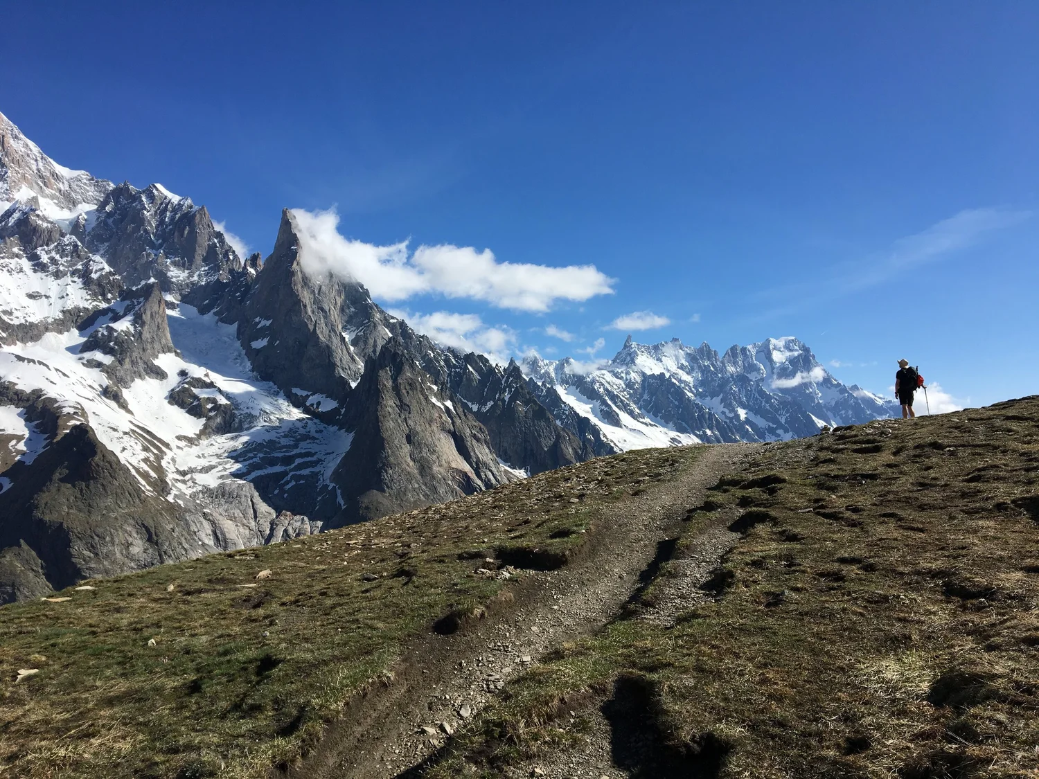 A hiker overlooking the Mont Blanc massif from the Tour du Mont Blanc