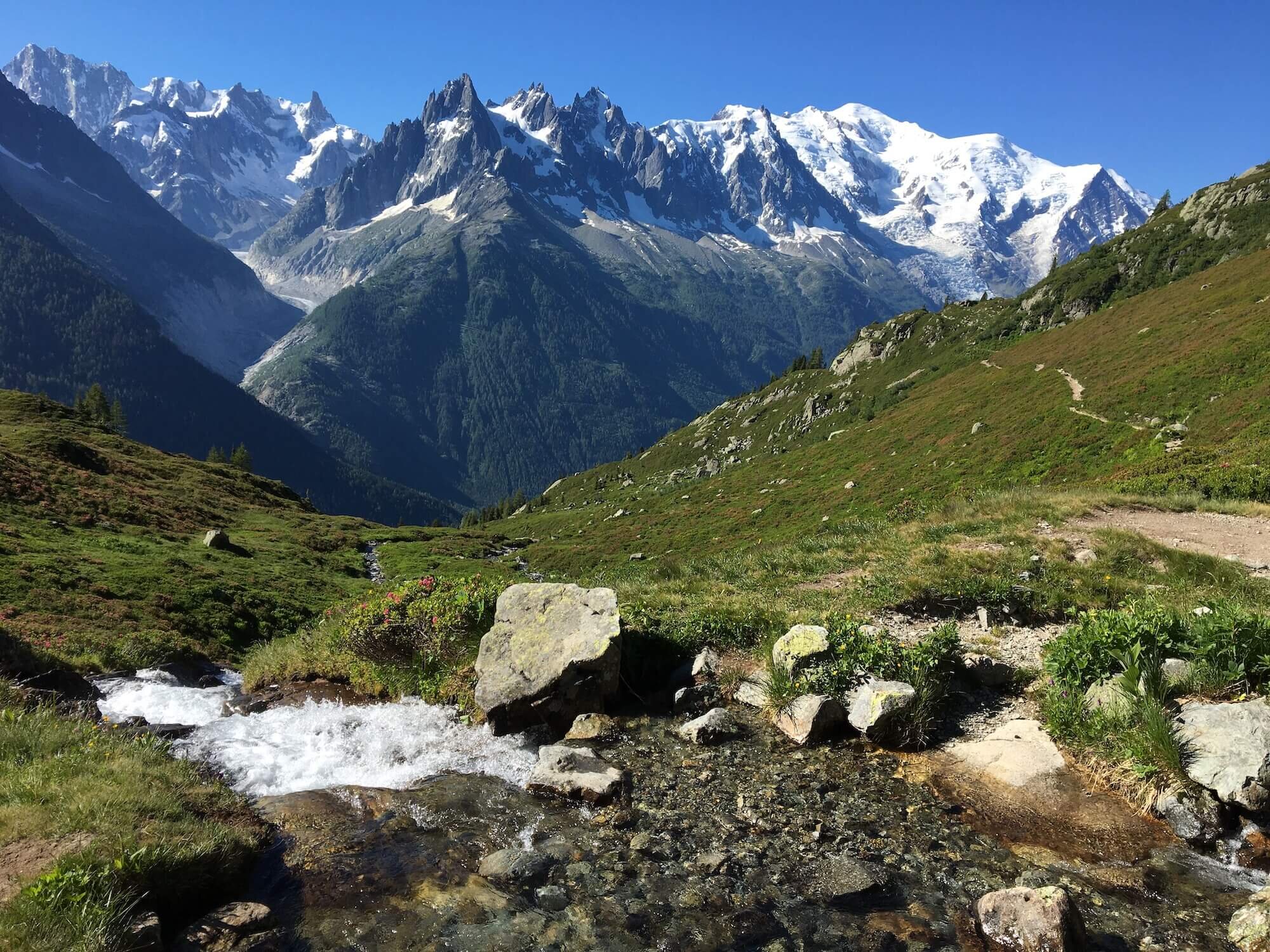 Mont Blanc dominates the view along Grand Balcon Sud