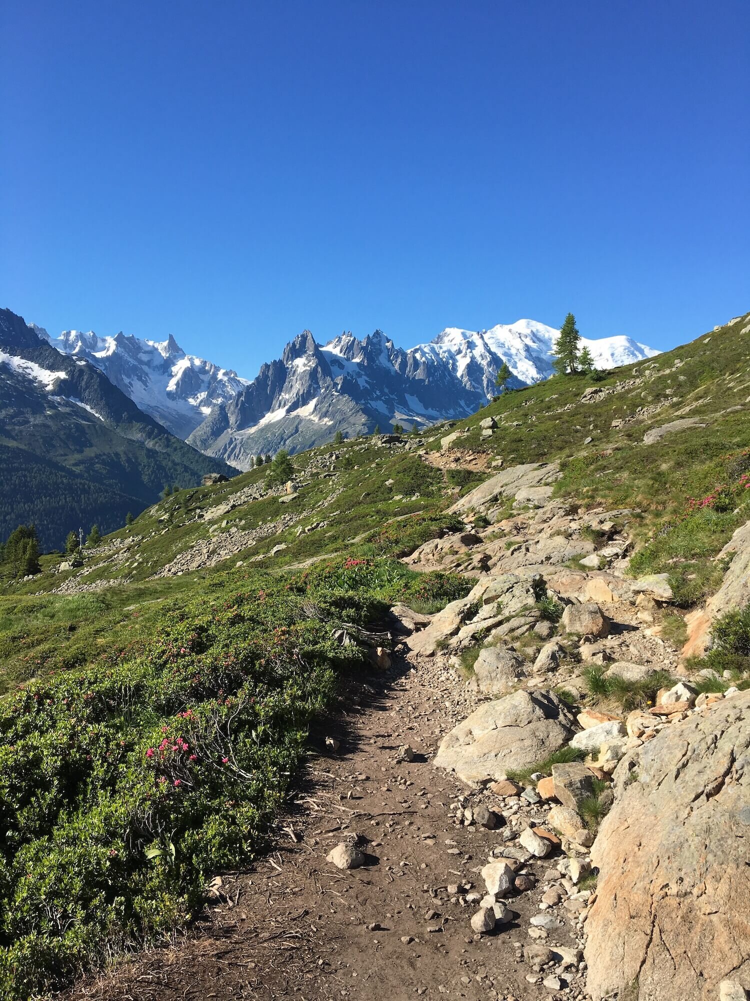 Near Col des Montets